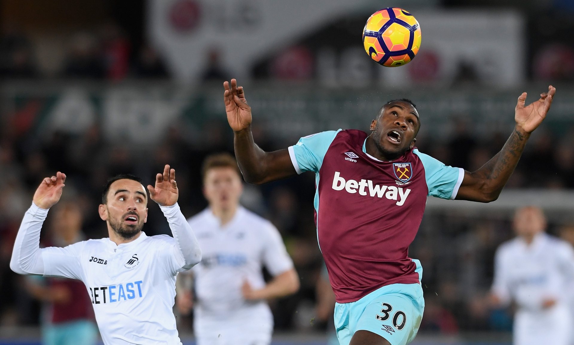 一份全新的 一份全新的