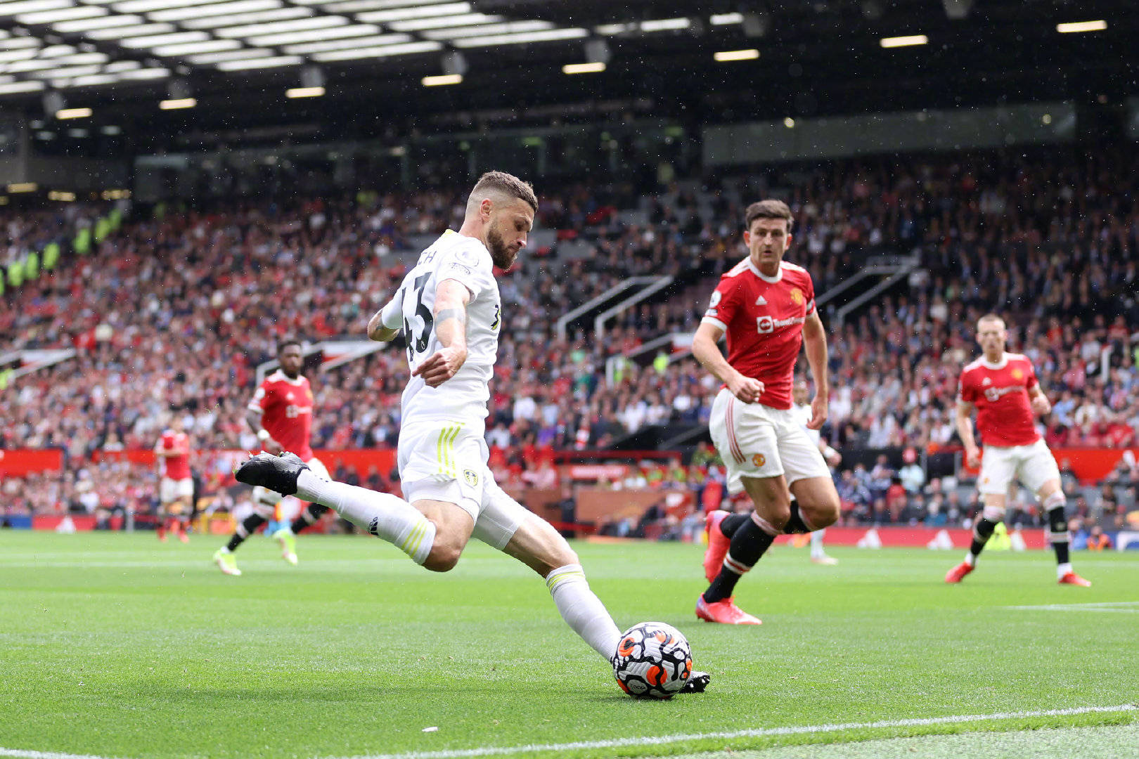 并被评为M 并被评为M